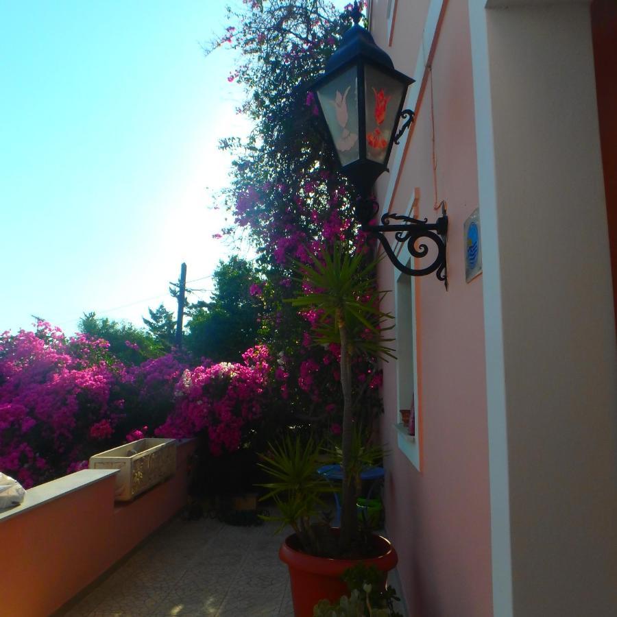 Villa Rodanthos 派尔季卡 外观 照片