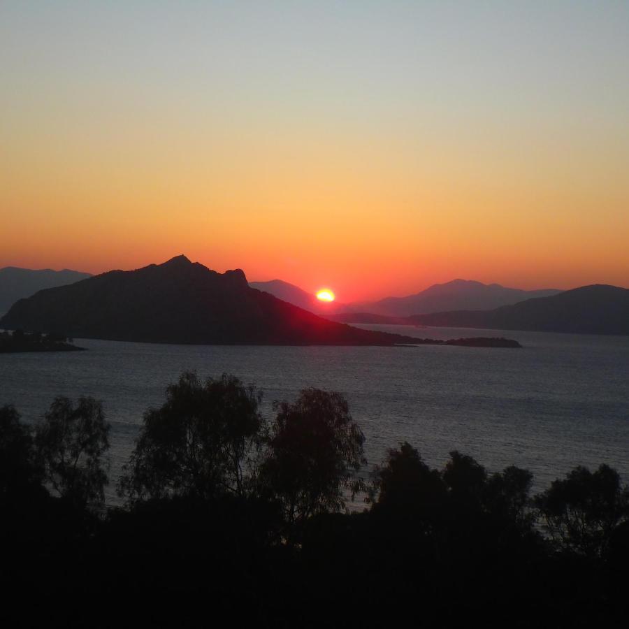 Villa Rodanthos 派尔季卡 外观 照片