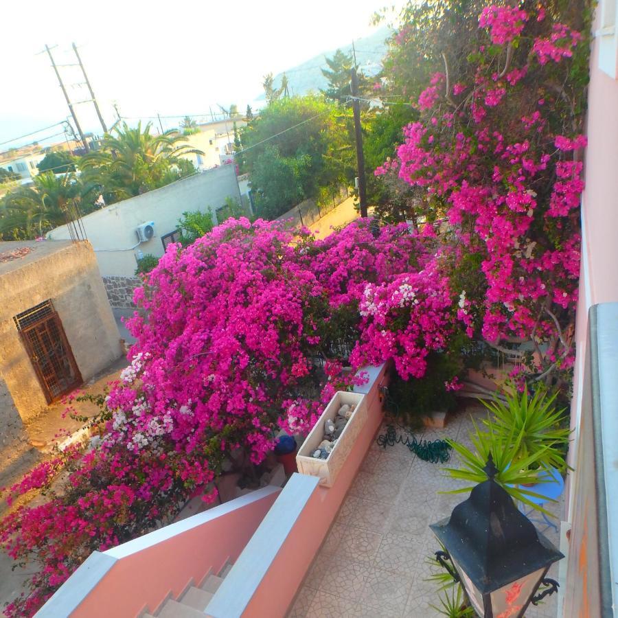 Villa Rodanthos 派尔季卡 外观 照片