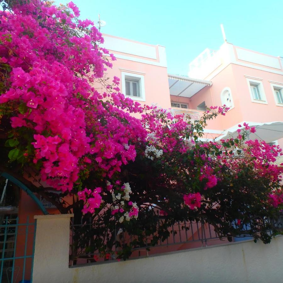 Villa Rodanthos 派尔季卡 外观 照片