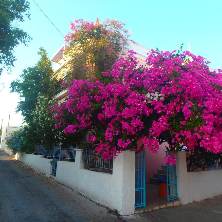Villa Rodanthos 派尔季卡 外观 照片